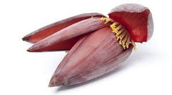 Picture of Banana Flowers-1 Pcs