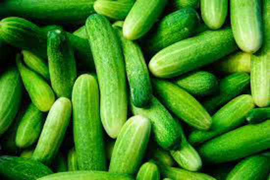 Picture of Baby Cucumber ( 5 Kg Bag )