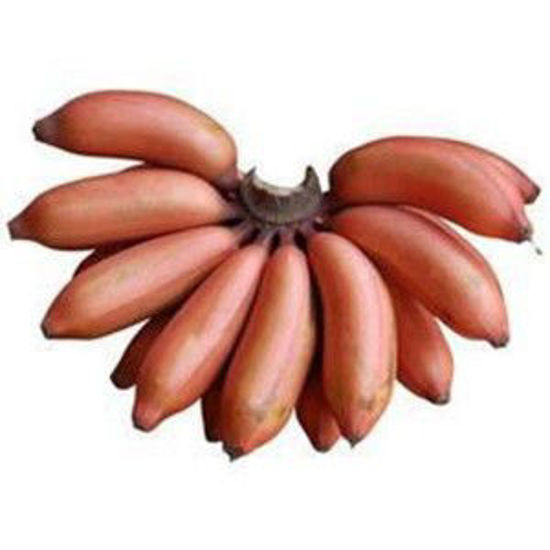 Picture of Red Banana- 1 Kg