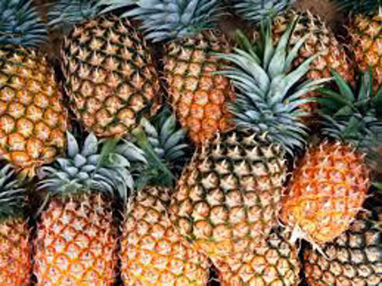Picture of PINEAPPLE 5pcs