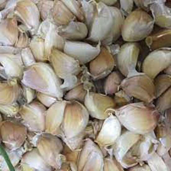 Picture of Loose Garlic-1Pack