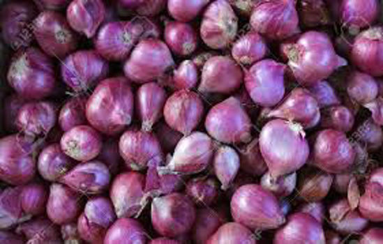 Picture of Small Onion - Bag