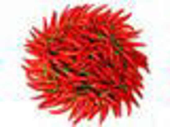 Picture of Red Chilli Padi  (5kg Bag )