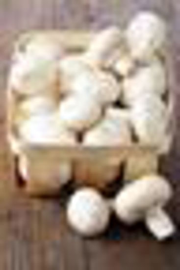 Picture of Mushroom-1Pack