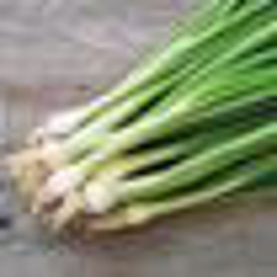 Picture of Spring Onion-1Kg