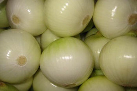 Picture of Peeled  Onion-White(1Box)