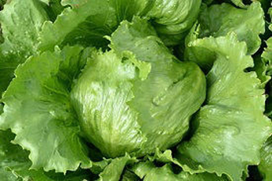 Picture of Lettuce (1 Box)