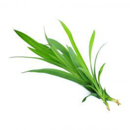 Picture of Pandan Leaves-1Kg