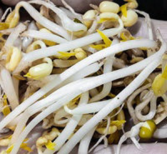 Picture of Beans Sprout- 1 Kg